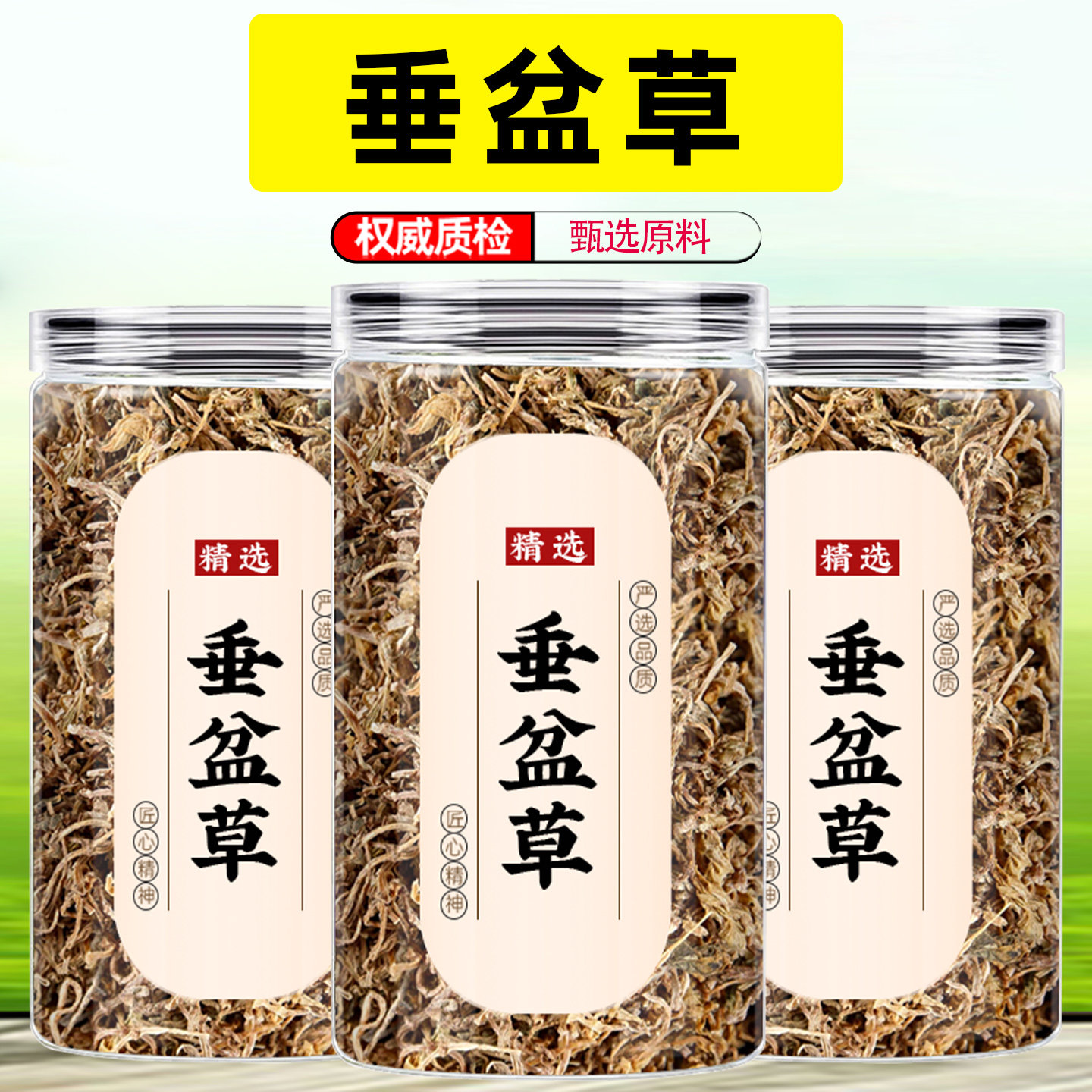 用泡水喝的功效与作用茵陈五味子