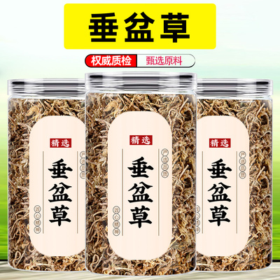 用泡水喝的功效与作用茵陈五味子