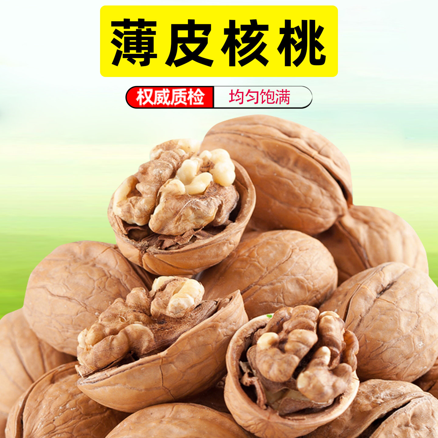 核桃薄皮新货新疆特产阿克苏大颗粒纸皮核桃散装批发坚果零食干果