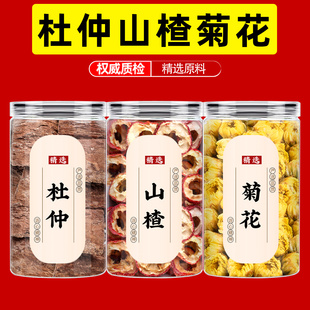杜仲菊花山楂茶包中药材正品组合杜仲片和胎菊山楂干泡水喝的功效