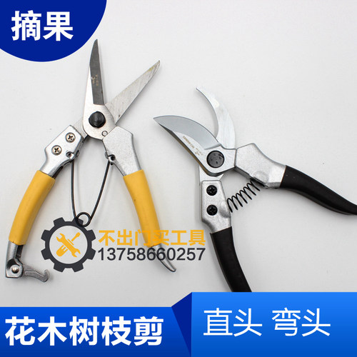 修枝剪盆景剪刀摘果器园林园艺剪树枝果树修枝剪伸果枝剪采果