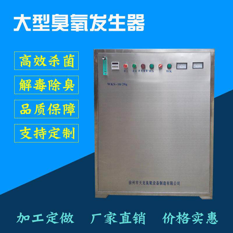 大型臭氧机气液混合泵水气两用可调臭氧设备WKS-10/20g臭氧发生器
