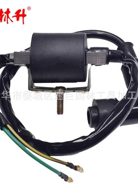 林升 C50 CT70 C70 CL70 S65 SL70 S90 CT90 CM90 DAX70 高压包