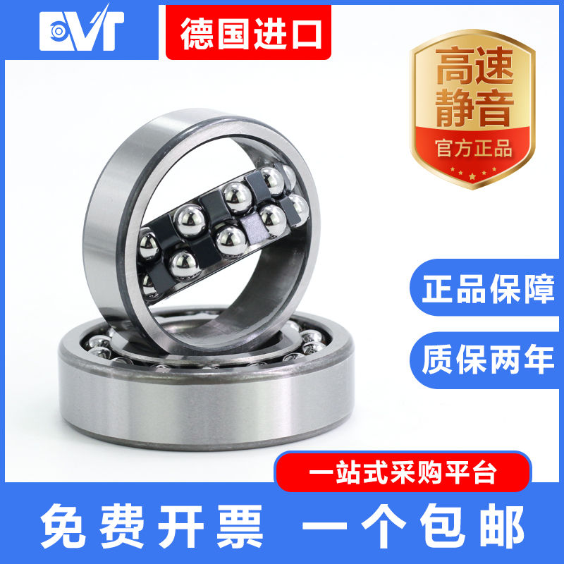 进口EVT双列调心球轴承1207 1208 1209 1210 1211 1212 1213AKTN9