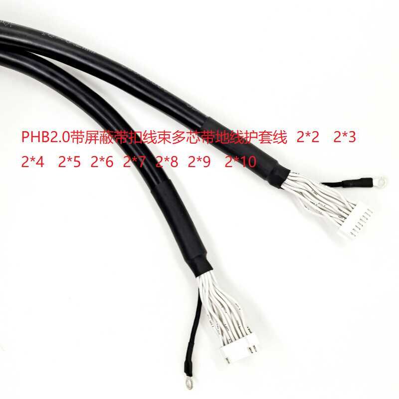 PHB2.0mm间距双排端子线连接线单头双头电子线带扣2*2 3 4 5 7 8P