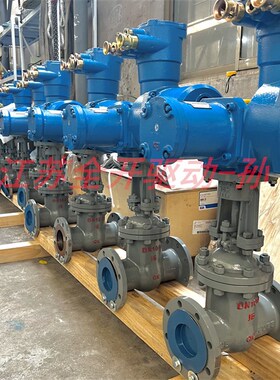 MA-485通讯电动闸阀 MZ941H-100C-DN300矿用隔爆型一体式电动闸阀