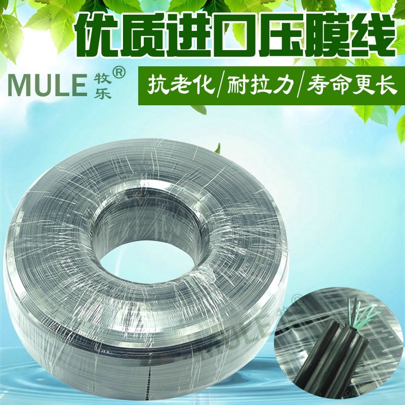12MM扁形优质压膜线 猪场卷帘布 压膜绳 防风绳 大棚拉线 300米,童鞋/婴儿鞋/亲子鞋,量脚器,淘宝优惠券,粉丝福利购,淘宝优惠卷