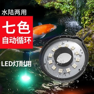 格池水底led防水鱼池灯水下射灯彩灯造景灯地插灯喷泉专用灯