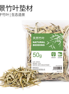 黄缘半水龟安缘龟箱造景用品套餐生态饲养环境落叶松针竹叶垫材