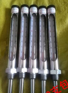 WNG-11金属套管铁壳 空调 管道 锅炉 茶壶 船用温度计丝扣4分G1/2