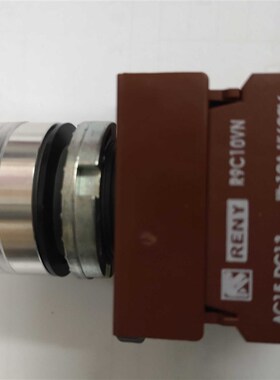 R9C10VN 台湾雷力reny 22mm金属平头带灯按钮1常开 LED灯泡 RAPIF