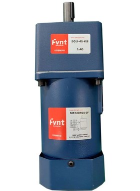 FT方特交流减速电机120W调速马达单相220V 5IK120RGU-CF/5GU40KB