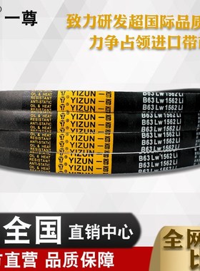 一尊金标三角带D447/448/449/450/451/452防静电耐磨传动进口阻燃