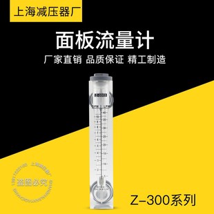 3001 3004 3003 3005面板流量计 3002 余姚振兴转子流量计Z
