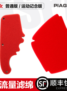 比亚乔淑女BYQ100TE ZIP100运动版纪念版空滤芯空气过滤海绵配件