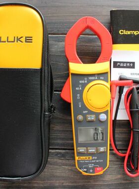 福禄克钳形表交直流FLUKE 319/317/F302+/312/362数字电流表F305