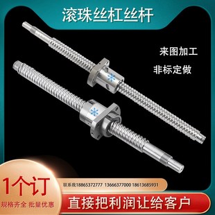 ISNA FSK0601 1002 ISNF 1004滚珠丝杆丝杠 2.5 ISNC 0802 0801