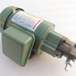 TOP11A 13A台湾维良油泵齿轮泵润滑泵摆线泵泵头泵浦马达组合 12A