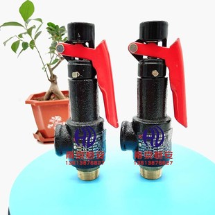 弹簧微启式 A27H A27W 16T 安全阀蒸汽安全阀空压机安全阀 10T