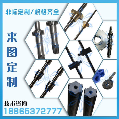 定制滚珠丝杠 梯形 往复丝杆 蜗轮蜗杆 齿轮齿条 滚珠花键 花键轴