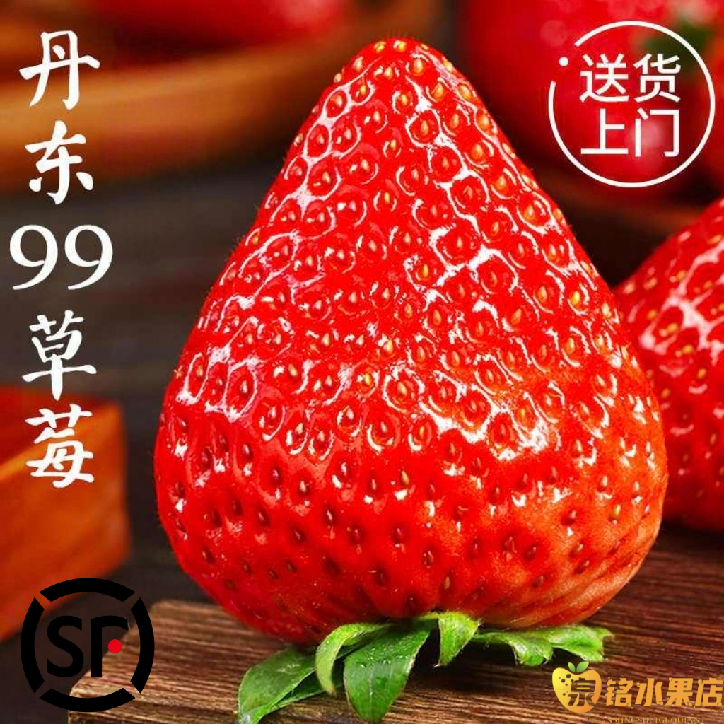 【顺丰包邮】正宗辽宁99丹东红颜奶油新鲜草莓孕妇酸甜草莓礼盒装