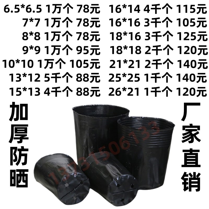 营养钵营养杯育苗杯塑料花盆加厚一次性树苗杯防老化育苗盆育苗袋