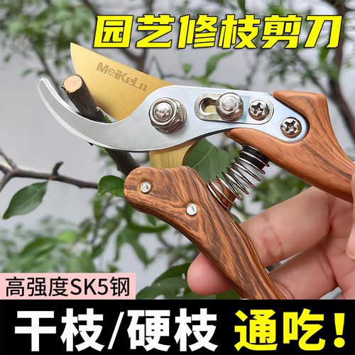 修枝剪园艺剪刀剪树枝专用园林修剪果树修枝花艺修花剪剪枝剪粗枝