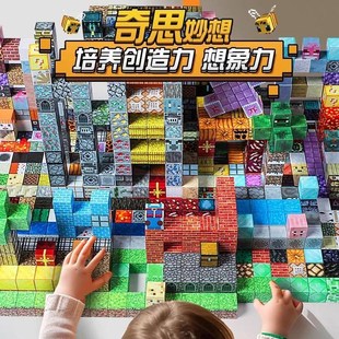 我 积木3以上4男孩6到12岁10拼图5男童玩具 世界磁力方块益智拼装
