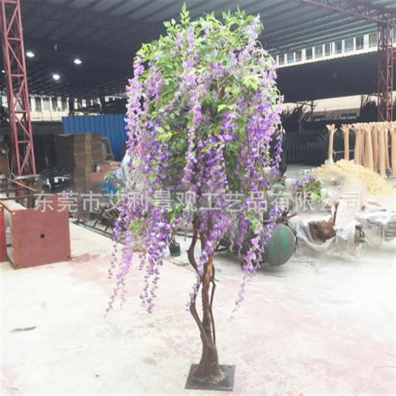 豆花树庭院e大型豆花树绿植植物园林景观装饰大树定制