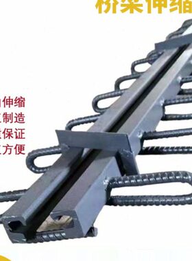 公路桥梁伸缩缝GQF-C40F60D80160240型ERG异型钢毛勒缝模数式装置