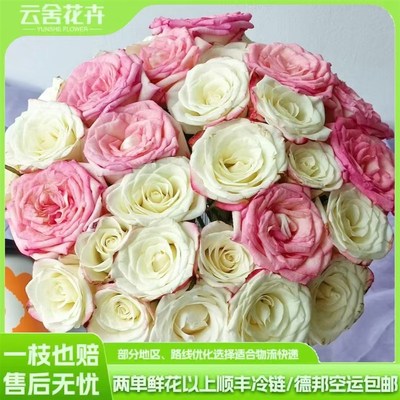 【方德荷冠】经典艾莉森+艾莉森组合 任意L组合2单或以上冷链包邮