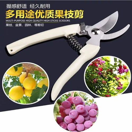 修枝剪园艺树枝修枝剪果园剪枝修型省力剪家庭盆栽定型修枝剪刀