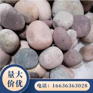 黑龙江天然鹅卵石大号河卵石户外铺路石头鱼缸水族庭院景观园林造