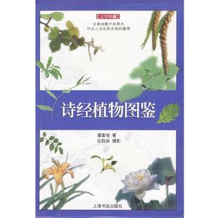 【正版书籍】 诗经植物图鉴—文学珍藏 潘富俊 著 上海书店出版社