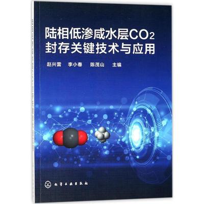 【正版书籍】 陆相低渗咸水层CO2封存关键技术与应用 赵兴雷,李小春,陈茂山 编 化学工业出版社