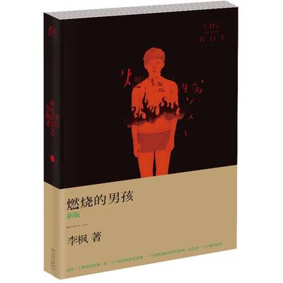 【正版书籍】 燃烧的男孩 李枫 长江文艺出版社