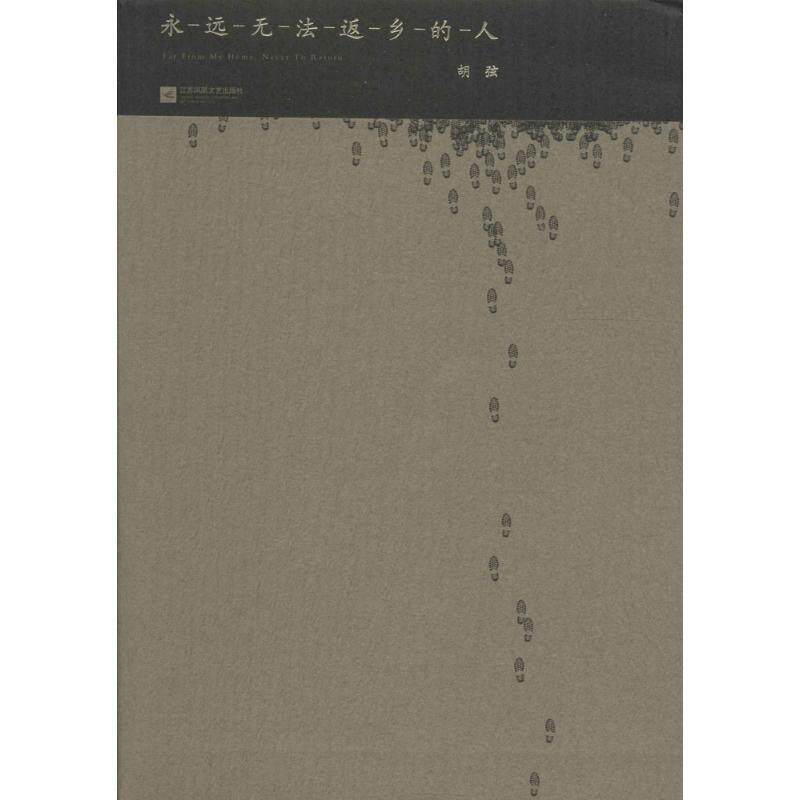 【正版书籍】 永远无法返乡的人 胡弦 江苏文艺出版社