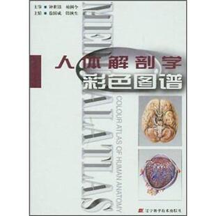 人体解剖学彩色图谱 徐国成 等 辽宁科学技术出版 书籍 编 社 正版