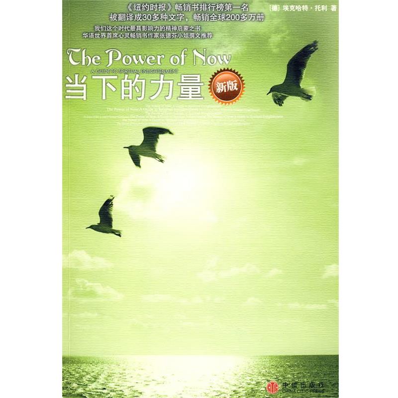 【正版书籍】 当下的力量 (德)托利　著,曹植　译 中信出版社