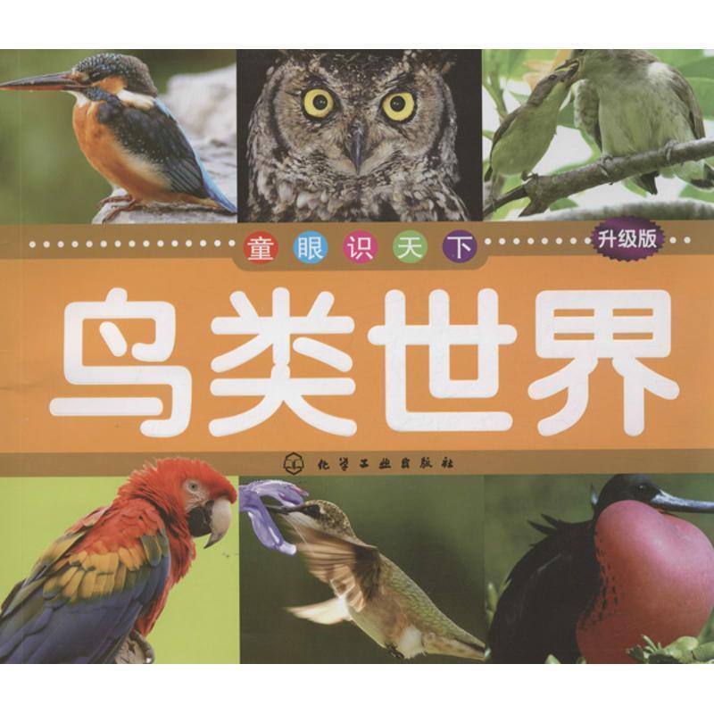 【正版书籍】 童眼识天下--鸟类世界 博文文化中心 编 化学工业出版社