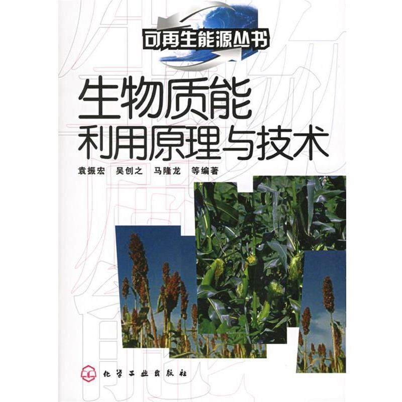 【正版书籍】 生物质能利用原理与技术 袁振宏,吴创之,马隆龙 编著 化学工业出版社