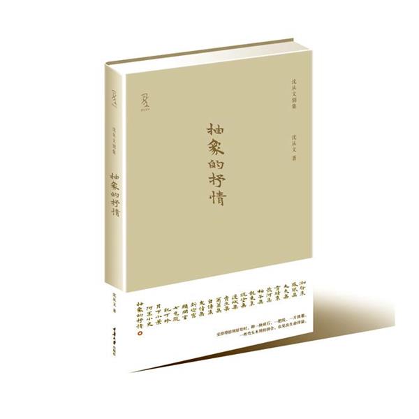 【正版书籍】 抽象的抒情 沈从文 著 重庆大学出版社