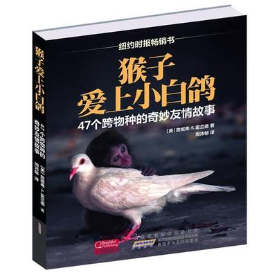 【正版书籍】 猴子爱上小白鸽-47个跨物种的奇妙友情故事 詹妮弗·S.霍兰德 安徽少年儿童出版社