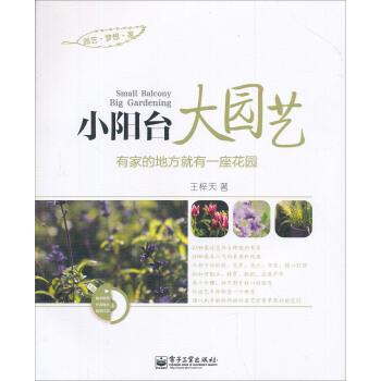 【正版书籍】 小阳台大园艺 王梓天 著 电子工业出版社