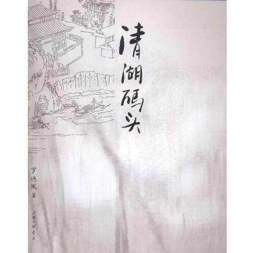 【正版书籍】 清湖码头 罗德胤 上海三联书店