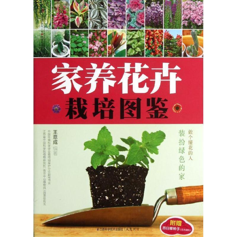 【正版书籍】 家养花卉栽培图鉴 装扮绿色的家 做个懂花的人 王意成 编著 江苏科学技术出版社