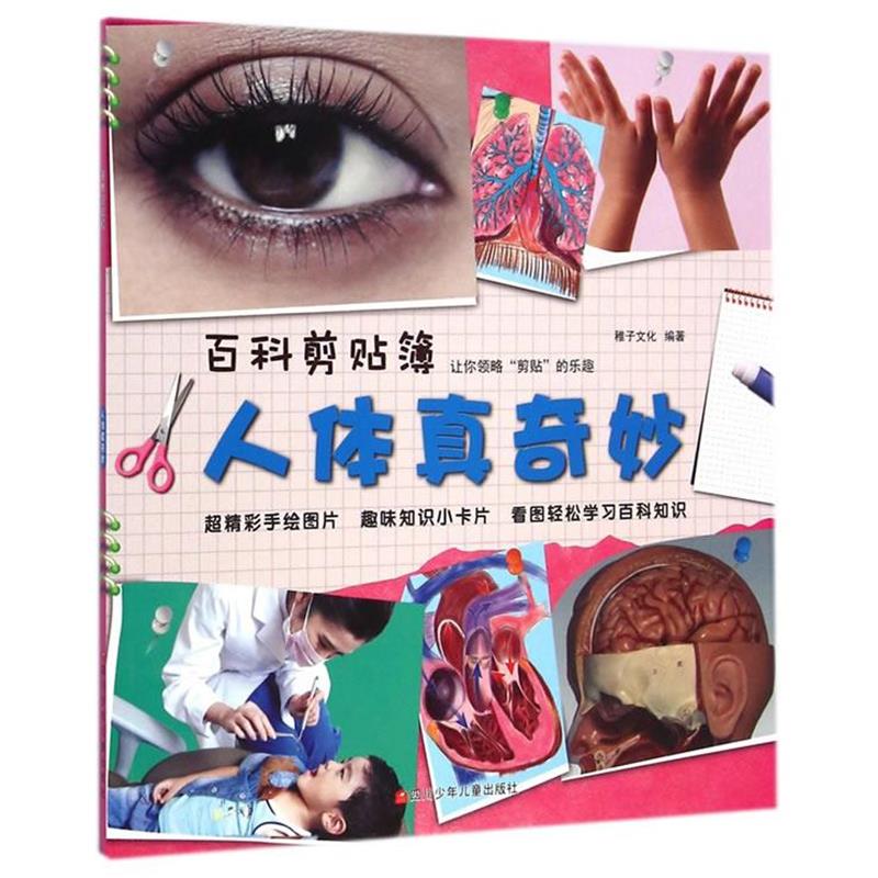 【正版书籍】 百科剪贴簿 人体真奇妙 稚子文化 编著 四川少儿出版社