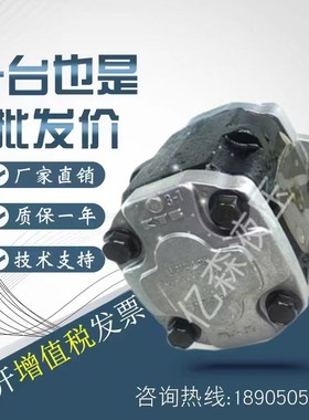 KYB齿轮泵KFZ4-14/17/19/23/25/27/30/33CPSB液压泵 油压机泵