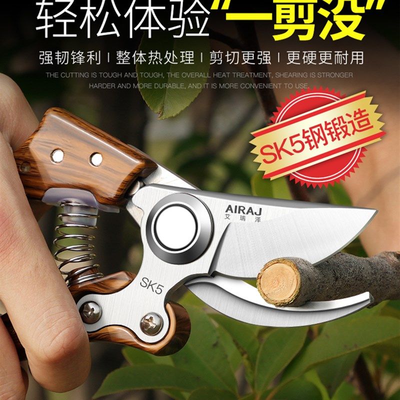 花剪园林园艺大剪刀修枝剪树枝剪刀剪子果树摘菜茶叶水果神器省力