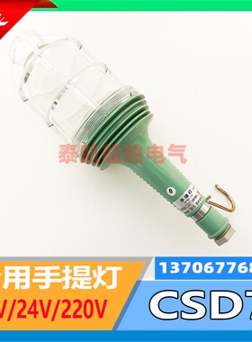 船用手提灯CSD2/5/7/8/9水密防水应急照明灯220V/24V/60WIP56现货